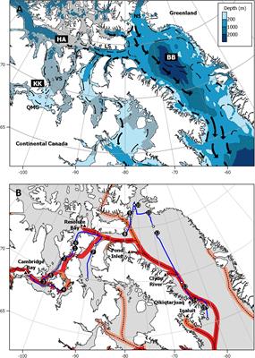 Remote, but Not Isolated—Microplastics in the Sub-surface Waters of the Canadian Arctic Archipelago